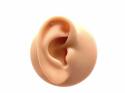 9ct Yellow Gold Diamond Cartilage Stud Earring