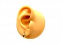9ct Yellow Gold Plain Hoop Earrings 11mm