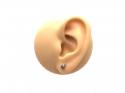 Silver Tiny Sea Shell Stud Earrings