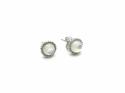 Silver White Mother of Pearl Stud Earrings