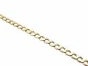 9ct Yellow Curb Anklet 10 Inches