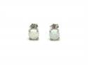 Silver White Created Opal Stud Earrings