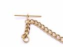Gold Plated Single Watch Albert Style Chain