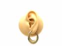 9ct Yellow Gold Patterned Hoop Earrings