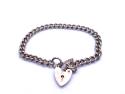 9ct Yellow Gold Charm Bracelet