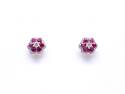 9ct Yellow Gold Ruby & Diamond Stud Earrings
