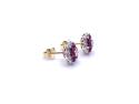 9ct Yellow Gold Ruby & Diamond Stud Earrings