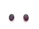 9ct Garnet Stud Earrings