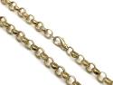 9ct Yellow Gold Belcher Chain 22 inch