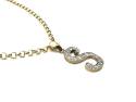 9ct CZ 'S' Pendant & Chain 24 inch