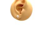 9ct Yellow Gold Fresh Water Pearl Studs 6mm