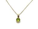 9ct Yellow Gold Peridot Pendant & Chain