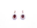 9ct Garnet & CZ Drop Stud Earrings
