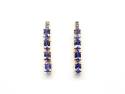 9ct Tanzanite & Diamond Drop Earrings