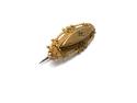 9ct Yellow Gold Diamond Brooch 1903