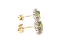 9ct Peridot & Diamond Cluster Earrings 0.33ct