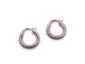 9ct Yellow Gold CZ Hoop Earrings
