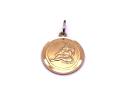 9ct Yellow Gold Virgo Pendant