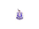 9ct Yellow Gold Hull Emblem Charm