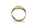 9ct Yellow Gold Signet Ring