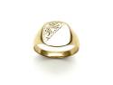 9ct Yellow Gold Signet Ring