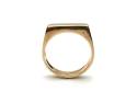 9ct Yellow Gold Slim Signet Ring