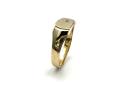 9ct Yellow Gold Diamond Signet Ring