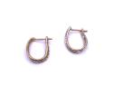 9ct Yellow Gold Hoop Earrings