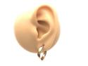 9ct Yellow Gold Hoop Earrings 20x15mm