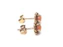 9ct Yellow Gold Coral Earrings 7mm