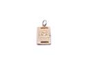 9ct Yellow Gold Passport Charm/Pendant