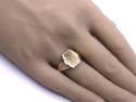 9ct Yellow Gold Signet Ring