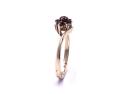 9ct Yellow Gold Garnet Cluster Ring