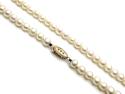 9ct Yellow Gold Pearl Necklet 16 Inch