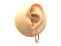 9ct Yellow Gold Oval Hoop Earrings