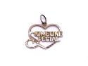 9ct 'Someone Special' Heart Pendant