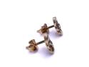9ct Two Colour CZ Flower Stud Earrings