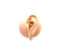 9ct Yellow Gold Round Creole Hoop Earrings