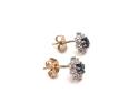 9ct Sapphire & CZ Cluster Stud Earrings