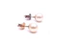 9ct Yellow Gold Pearl Studs 6.5mm