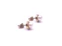 9ct Yellow Gold Pearl Studs 6mm