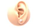 9ct Yellow Gold Pearl Studs 5.5mm