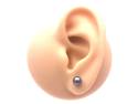 9ct Yellow Gold Black Pearl Studs 5.5mm