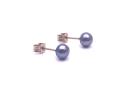 9ct Yellow Gold Black Pearl Studs 5.5mm