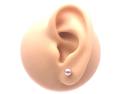 18ct Yellow Gold Pearl Studs 5mm
