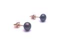 9ct Yellow Gold Black Pearl Studs 6mm