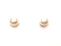 9ct Simulated Dress Pearl Stud Earrings