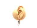 9ct Yellow Gold Fancy Drop Earrings