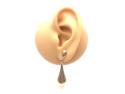 9ct Yellow Gold Fancy Drop Earrings