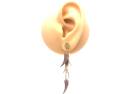 9ct 2 Colour Fancy Drop Earrings